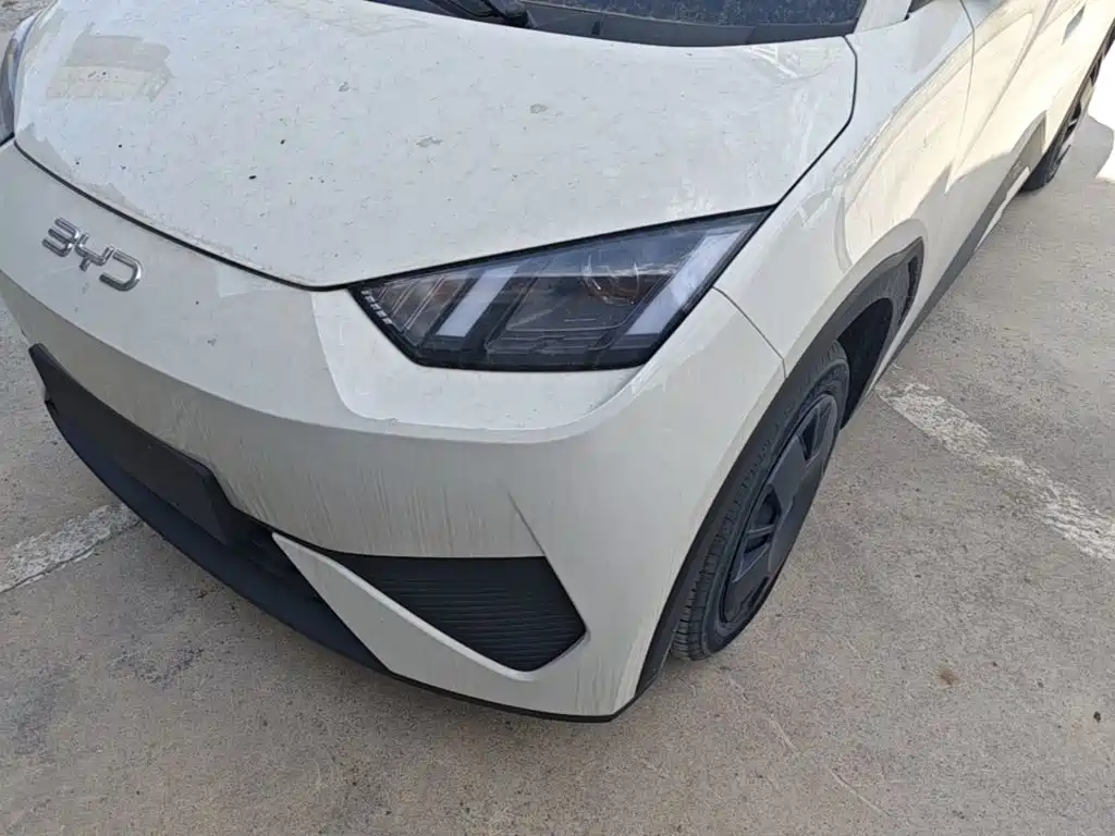 BYD Seagull 2026 2025 Smart Drive Edition 305km Vitality Version