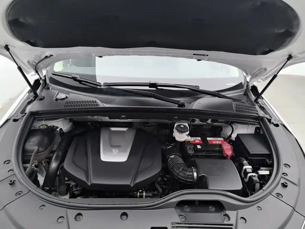 BYD Tang 2020 2019 2.0T Automatic Smart Connect Honor 5-seater China VI