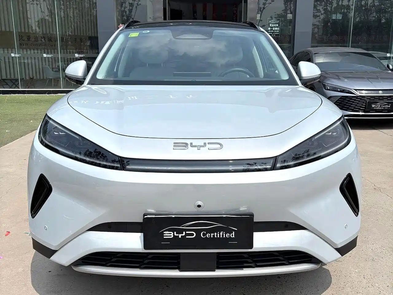 BYD Hai Shi 05 EV 2025 520KM Flagship Smart Navigation Edition фото 2