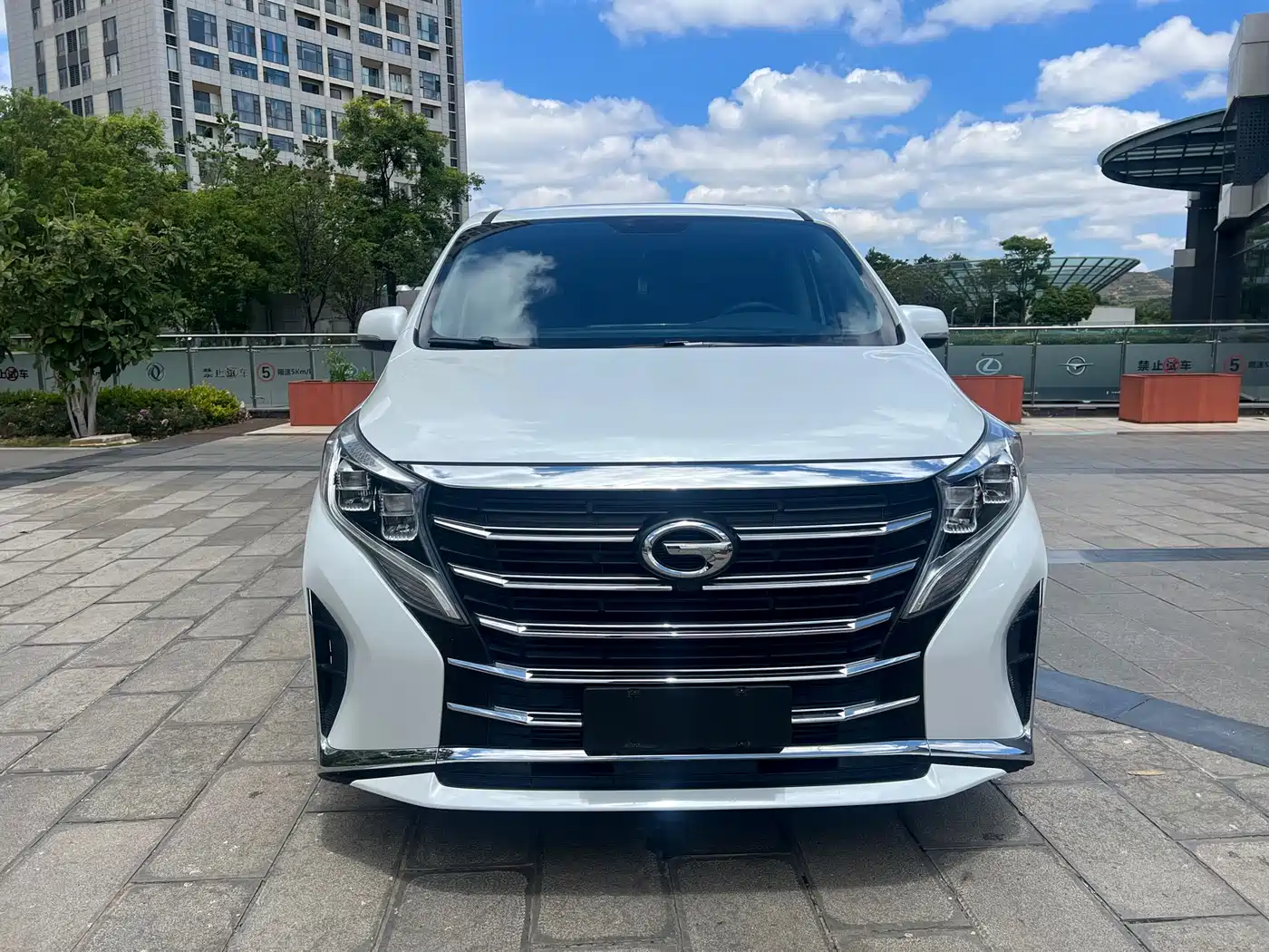 GAC Trumpchi Trumpchi M8 2023 Leading Series 390T Premium Edition фото 2