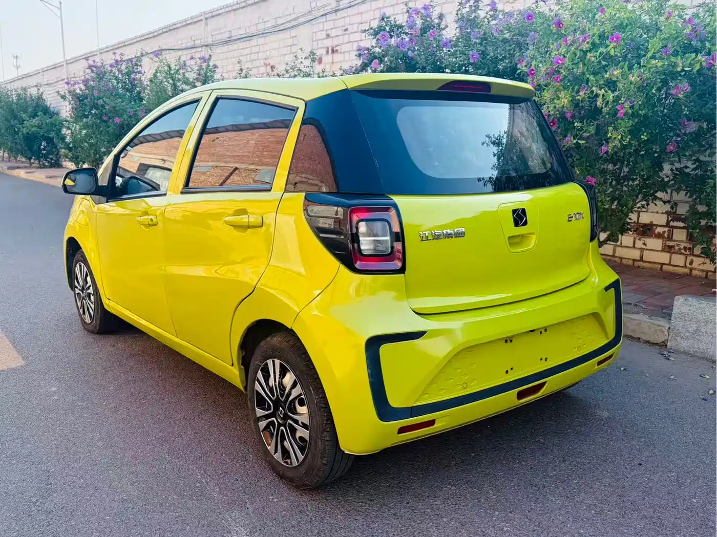 Sehol Flower Fairy 2021 2021 200km Classic Edition