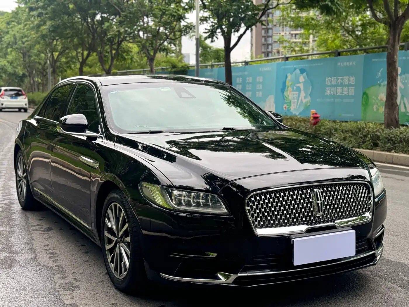 Lincoln Continental 2019 2.0T 2WD Zunya Edition China V фото 3