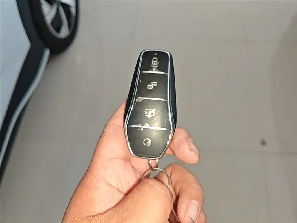 BYD Hai Shi 05 EV 2025 520KM Smart Navigation Edition фото 9