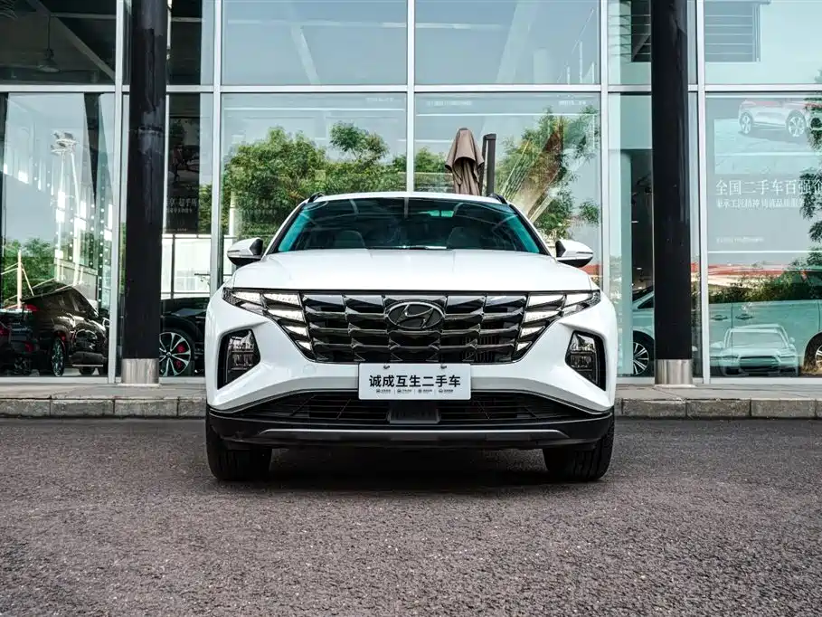Hyundai Tucson 2021 Tucson L 1.5T DCT LUX Premium фото 12