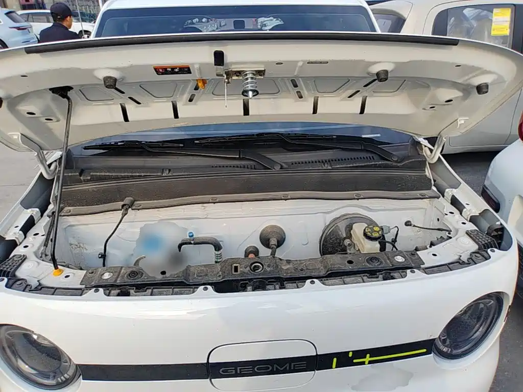 Фото 20 - Geely Galaxy Panda