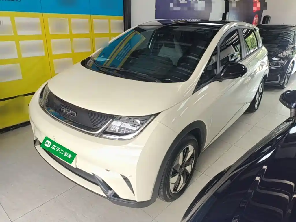 Фото 1 - BYD Dolphin