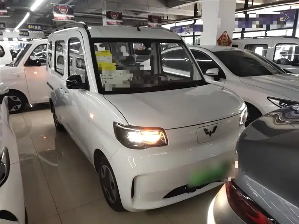 Wuling Motors Wuling Zhiguang NEV 2026 2025 Model 305km Base Version