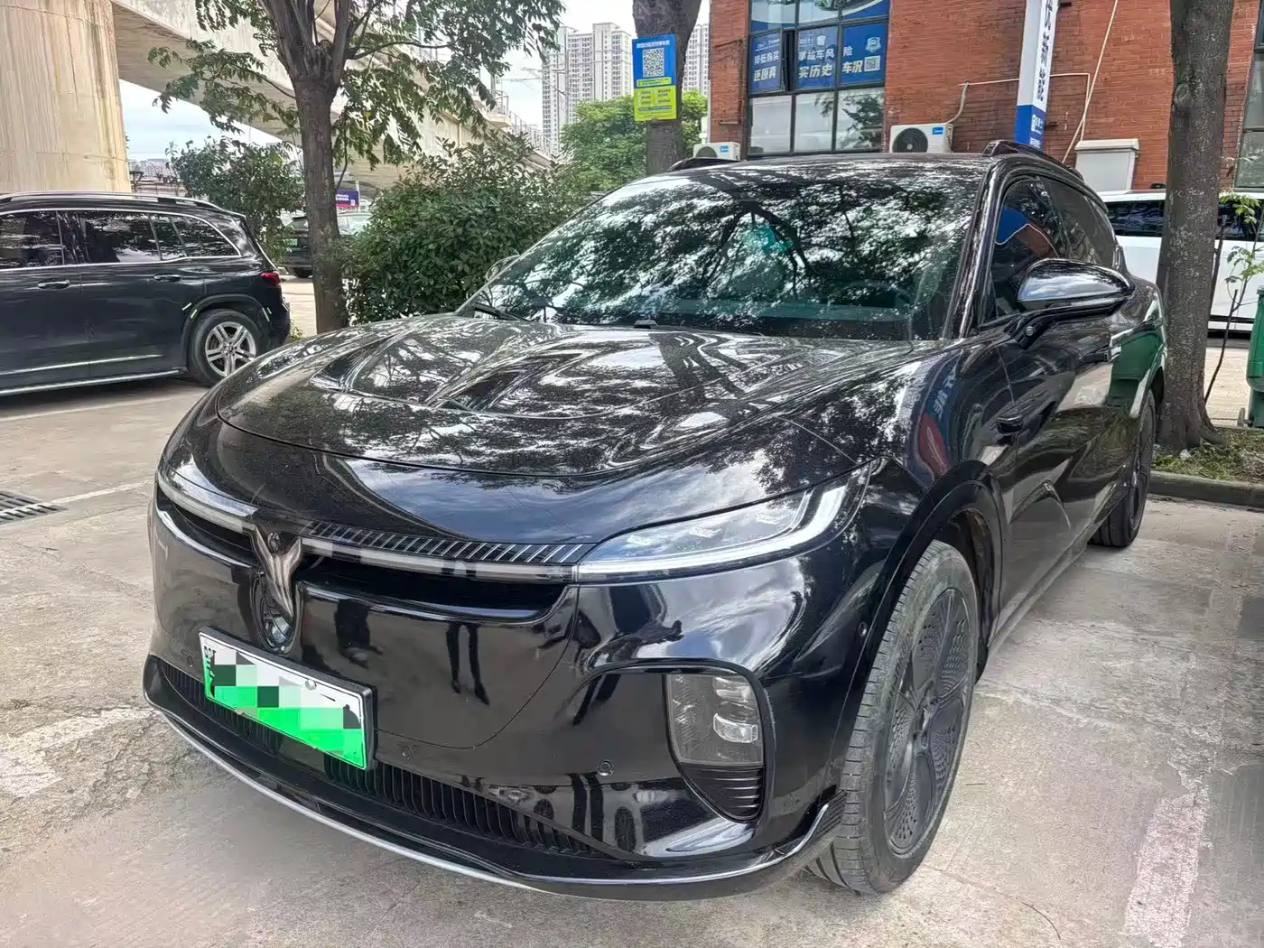 Voyah Auto Voyah Zhiyin 2024 Long Range Super Charging Edition