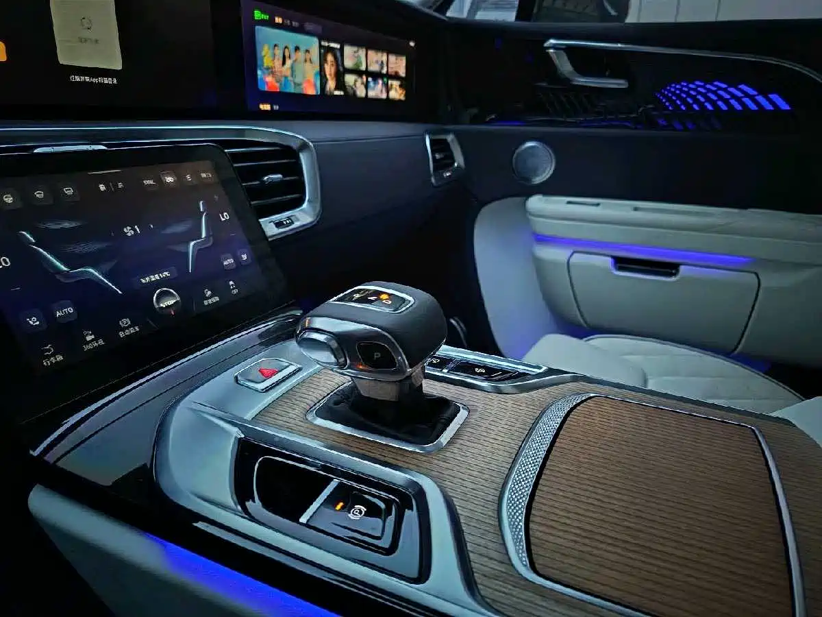 Hongqi E-HS9 2022 660km Qi Ling Edition (4-seater) фото 18
