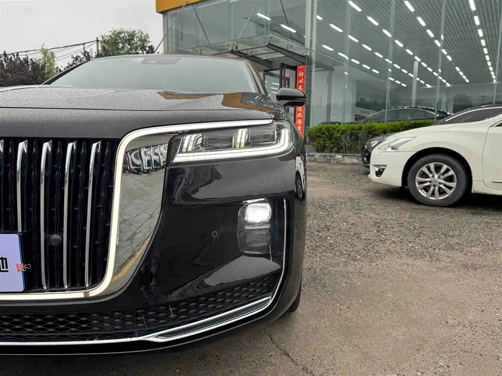 Hongqi H9 2020 3.0T Smart Connection Qi Chang Edition фото 10