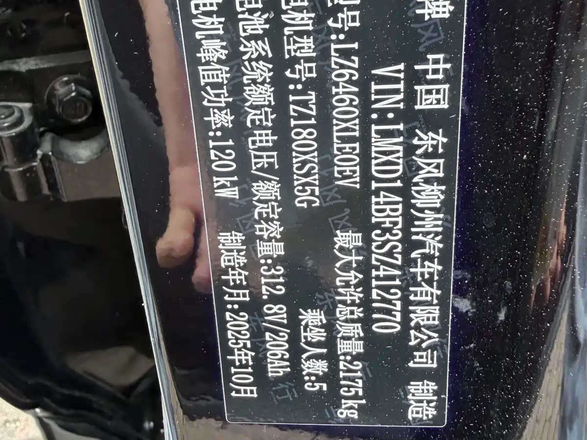 Dongfeng Fengxing Stellar X5 2025 2025 Pilot Edition