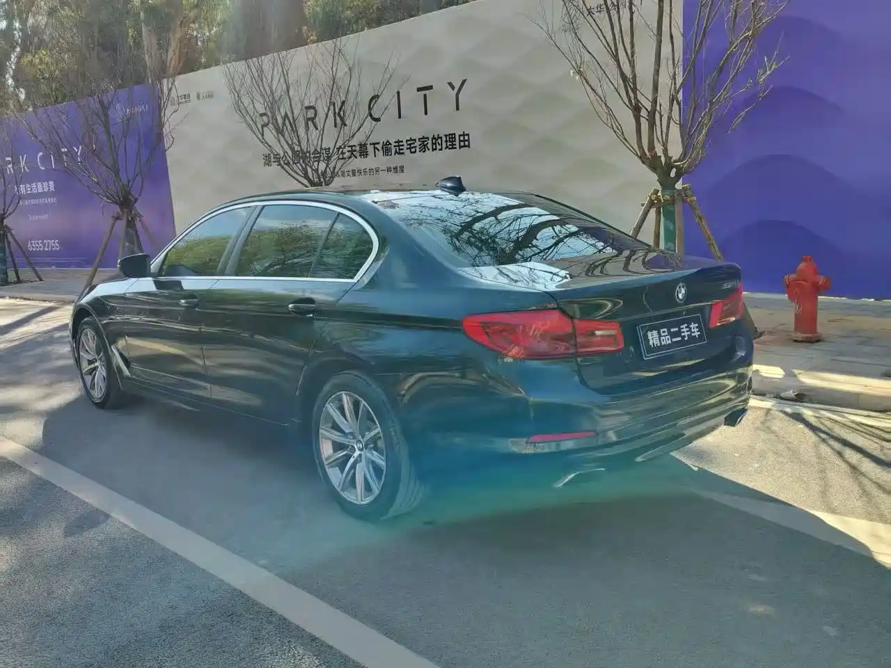 BMW 5 Series 2018 528Li Launch Special Edition фото 7