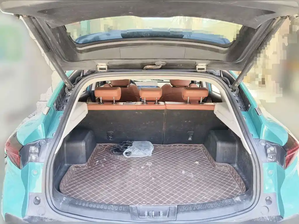 Chery New Energy Big Ant 2021 2020 High Energy Pro