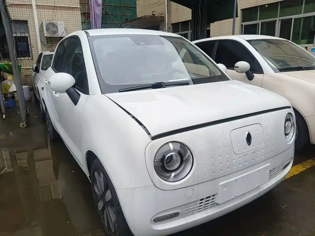 Ora Black Cat 2019 2019 Model 351km Smart Intelligence Edition