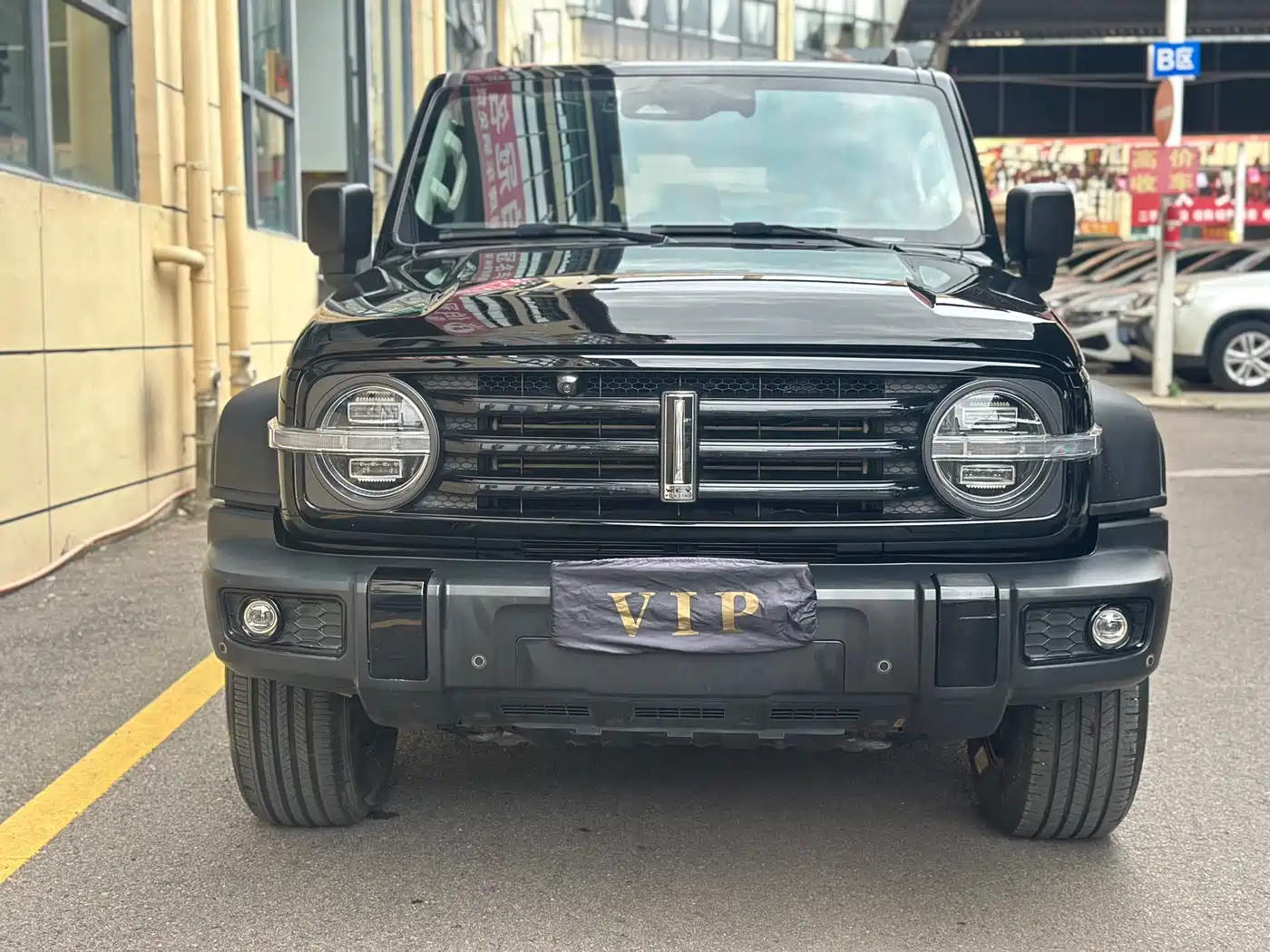 Tank 300 2021 2021 Off-road Version 2.0T Conqueror