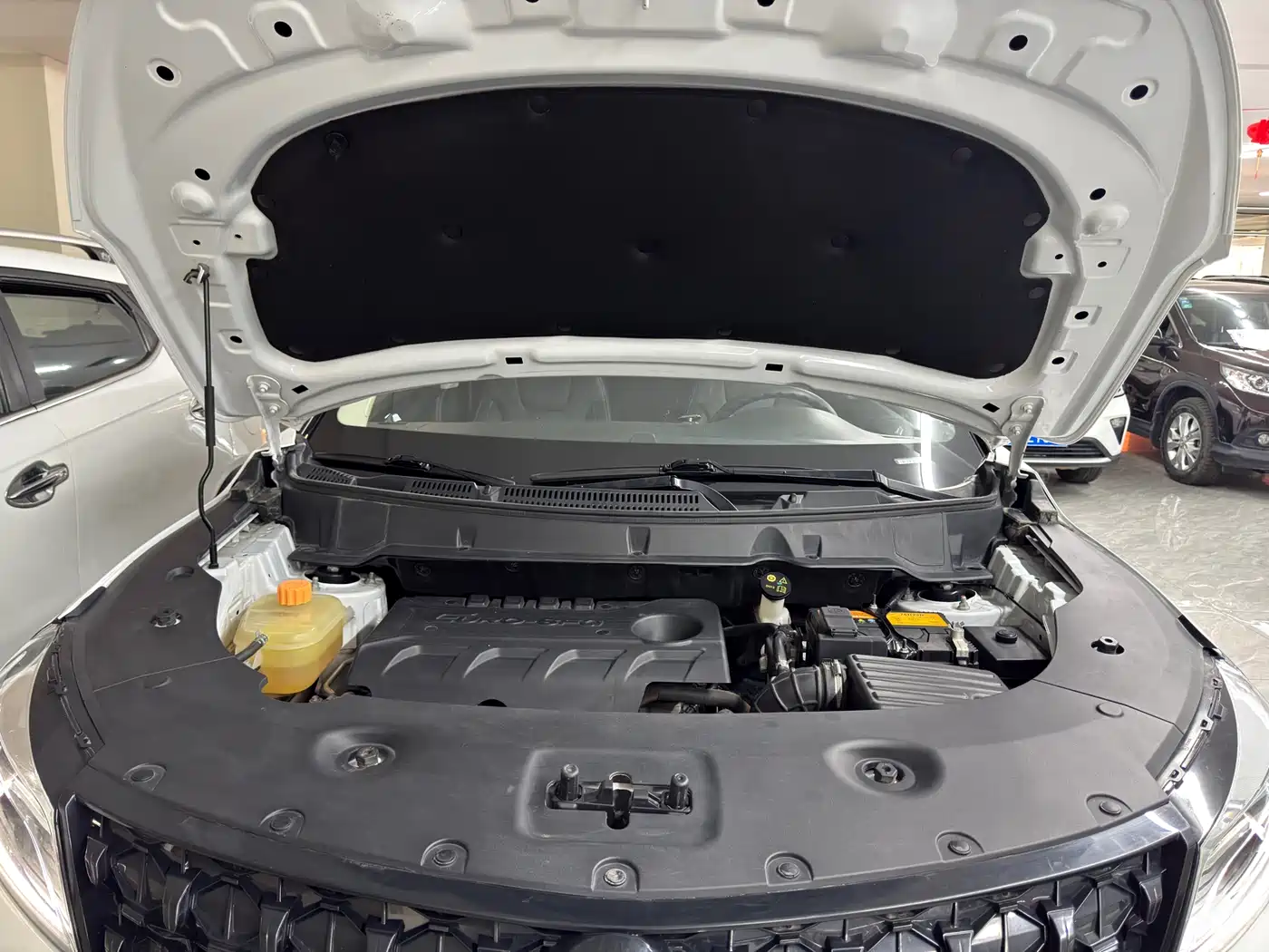 DONGFENG SCENERY 580