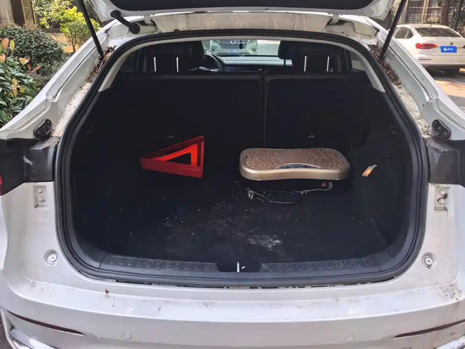 2021 Haval F7x