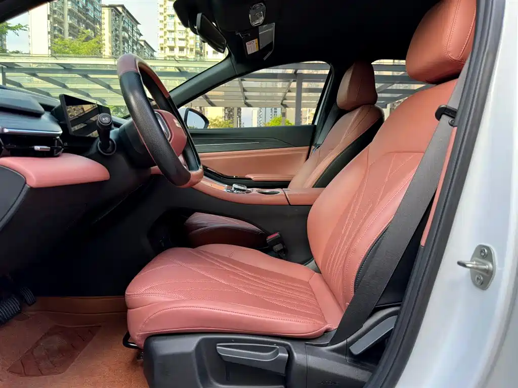 Geely Galaxy Galaxy L6 2025 EM-i 140km Voyage Edition фото 9
