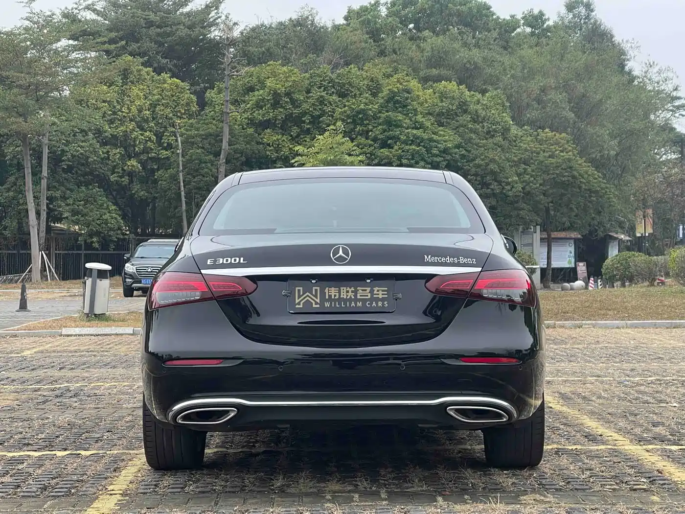 Mercedes-Benz E-Class 2021 E 300 L Luxury фото 8