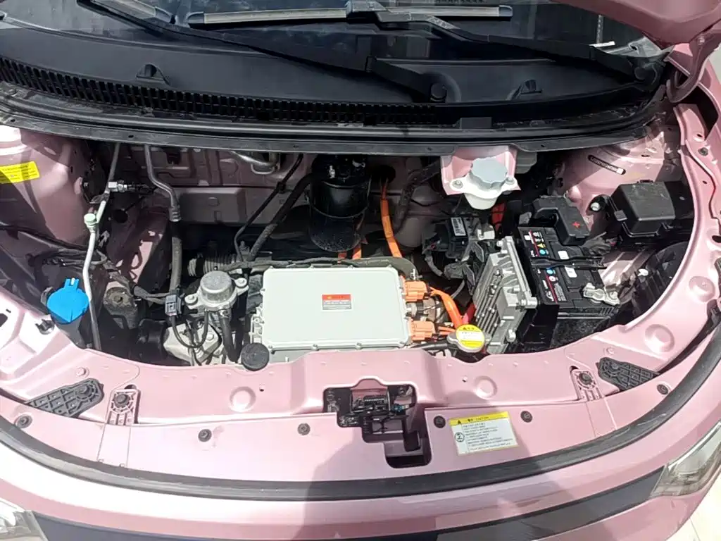 Sehol Flower Fairy 2023 2023 Anniversary Edition 301km Starlight 45kW