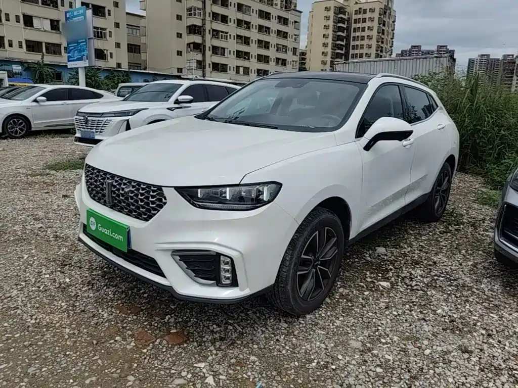 WEY VV5 2021 2021 1.5T 2WD Smart Pioneer