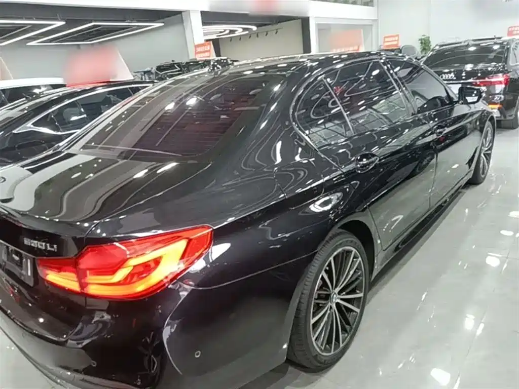 BMW 5 Series 2019 Facelift 530Li Leading M Sport Package фото 7
