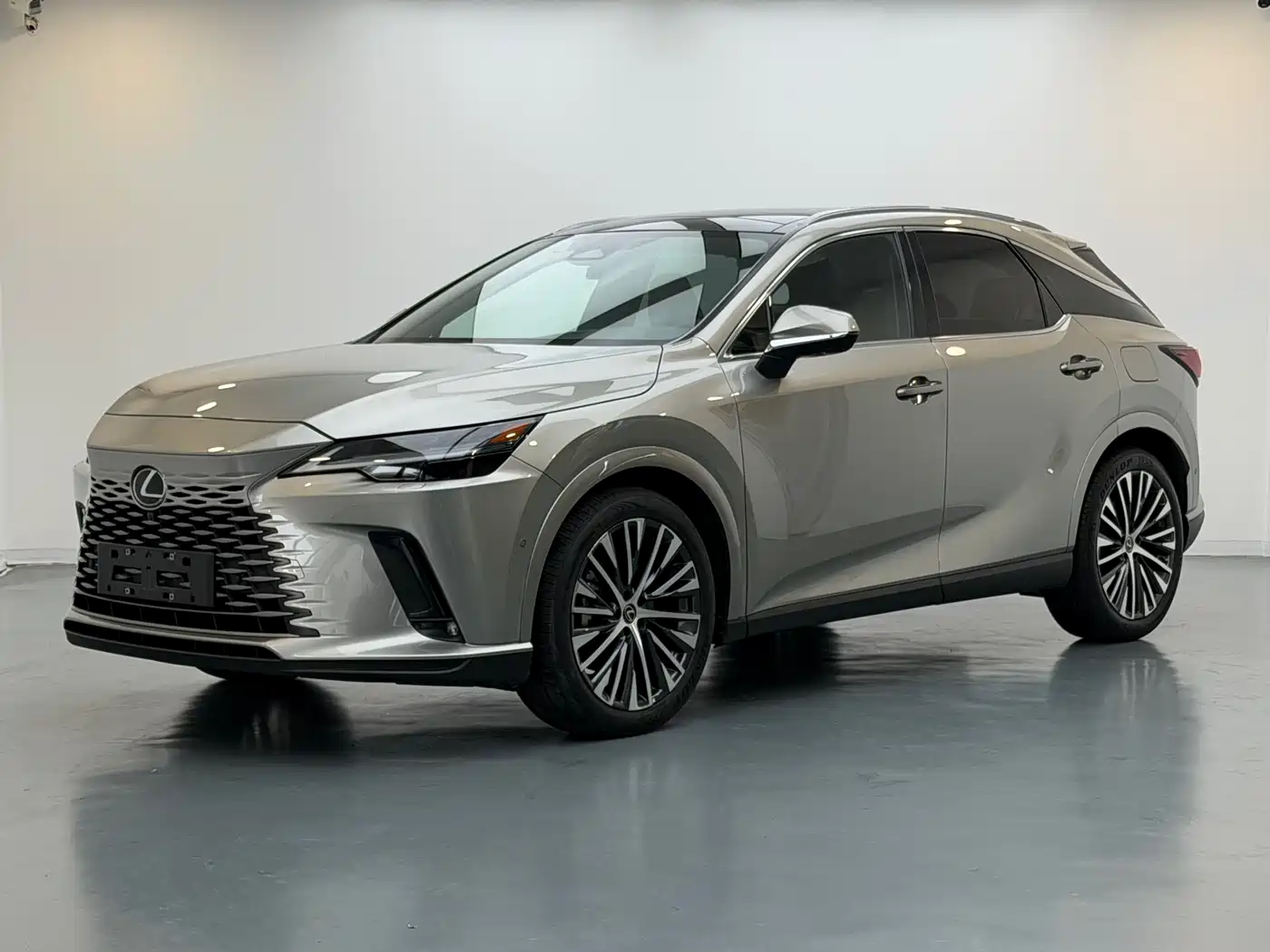 Lexus RX New Energy 2023 450h+ 4WD Enjoyment