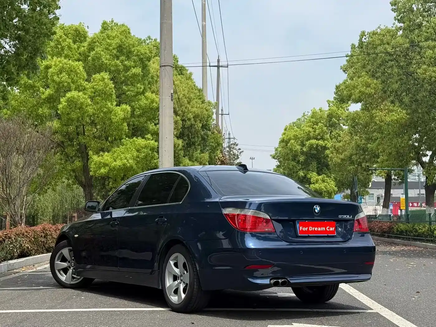 BMW 5 Series 2007 530Li Elegance фото 6