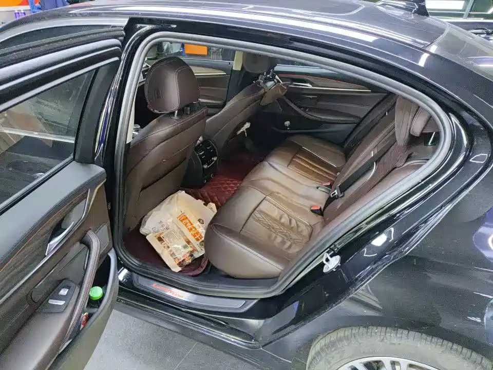 BMW 5 Series 2019 530Li Premium Luxury Package фото 5