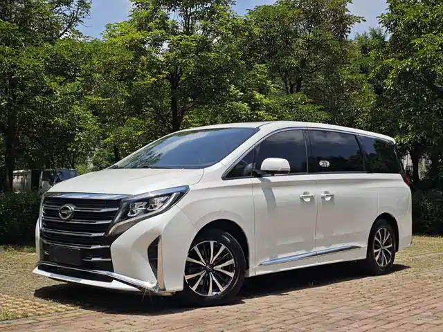 Trumpchi M8 Elegance Series, 390T, Люкс
