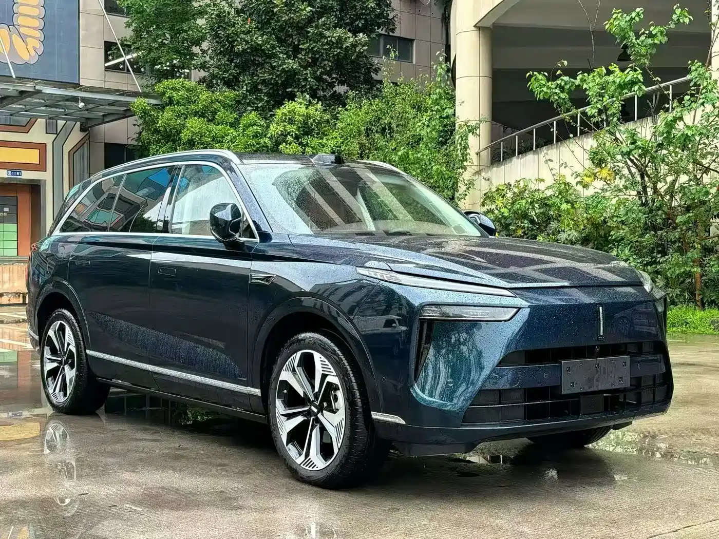 WEI PAI WEI BRAND BLUE MOUNTAIN