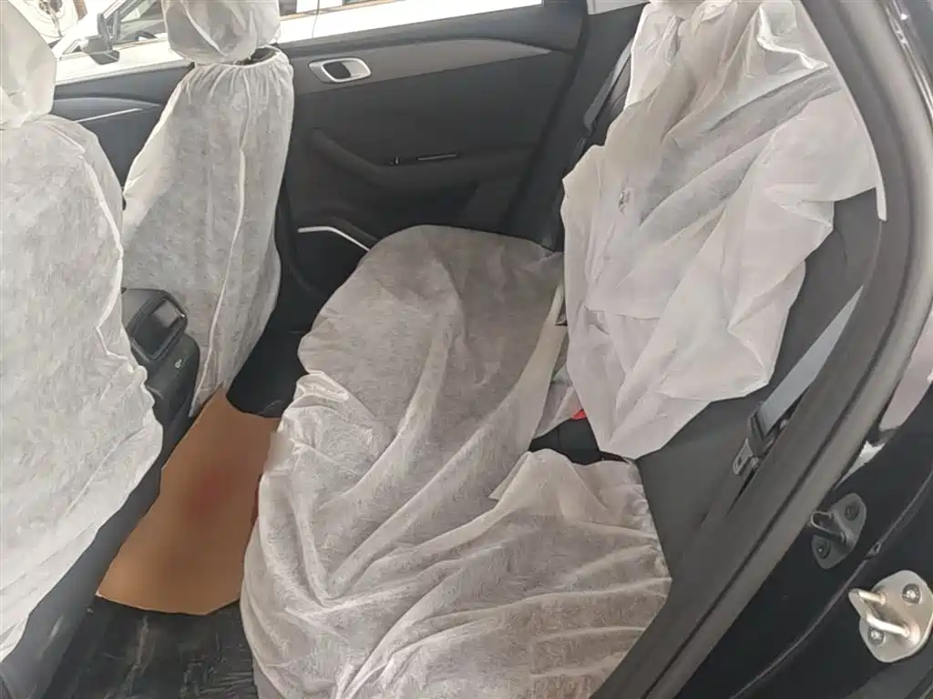 Geely Galaxy Galaxy Stellar 6 2025 Model 60km Free Edition фото 17