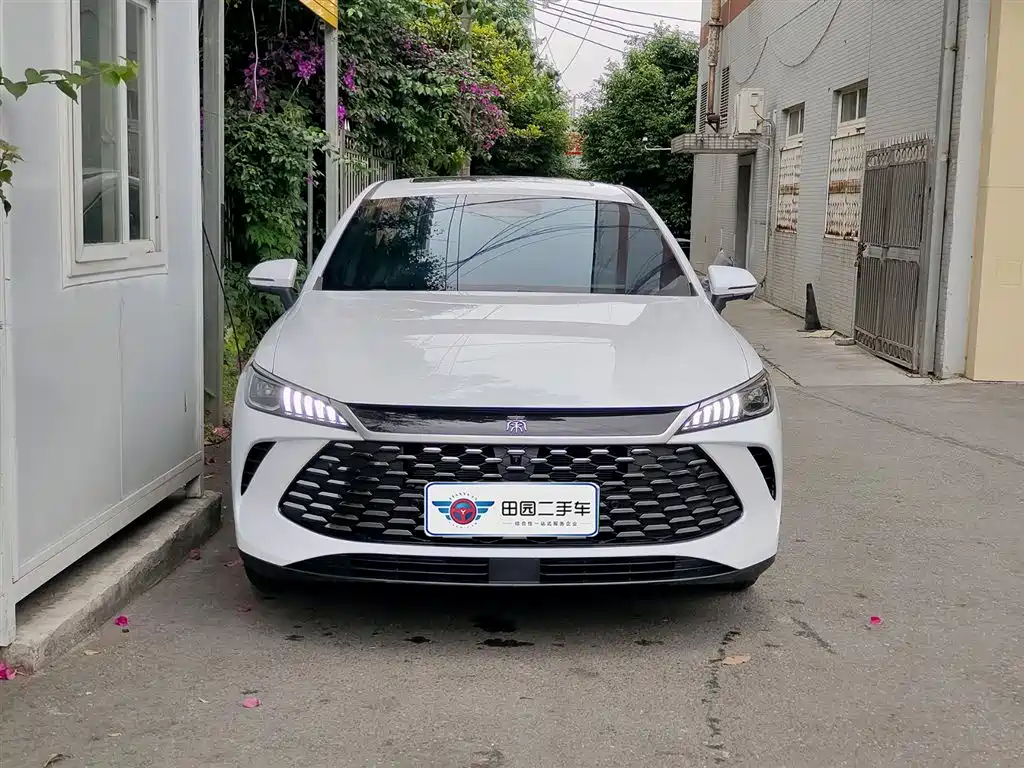 BYD Qin PLUS 2025 DM-i Smart Drive Edition 55KM Surpassing Type фото 2