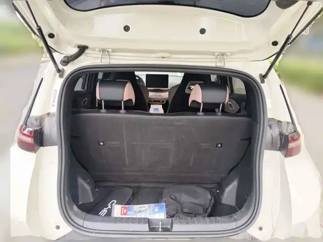 BYD Seagull 2025 Smart Drive Edition 305km Freedom Version — фото 5