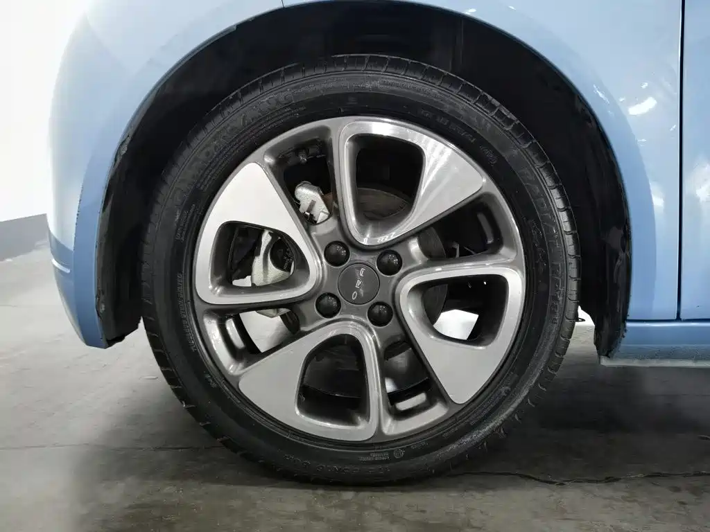 Ora White Cat 2021 2020 401km Flagship Model