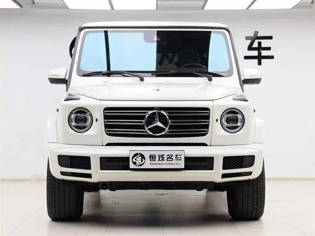 Mercedes-Benz G-Class 2020 G 500 фото 31