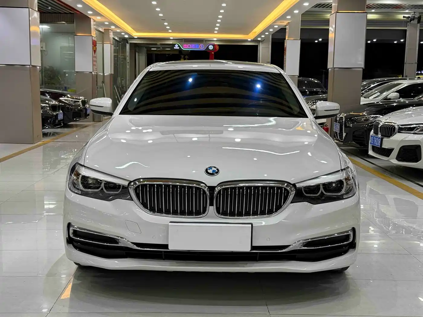 BMW 5 Series 2019 530Li Leading Luxury Package фото 2