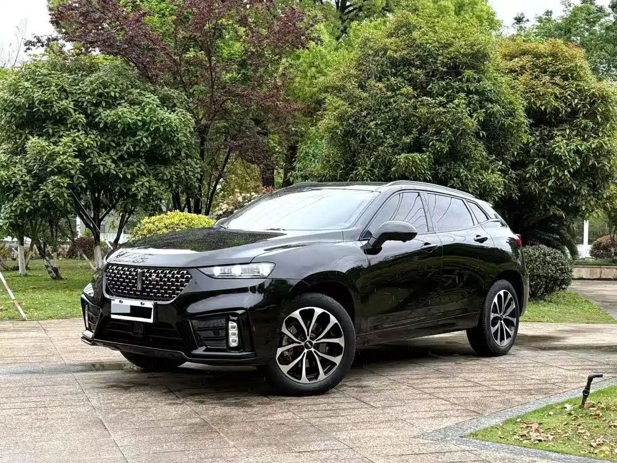 2021 WEY VV7