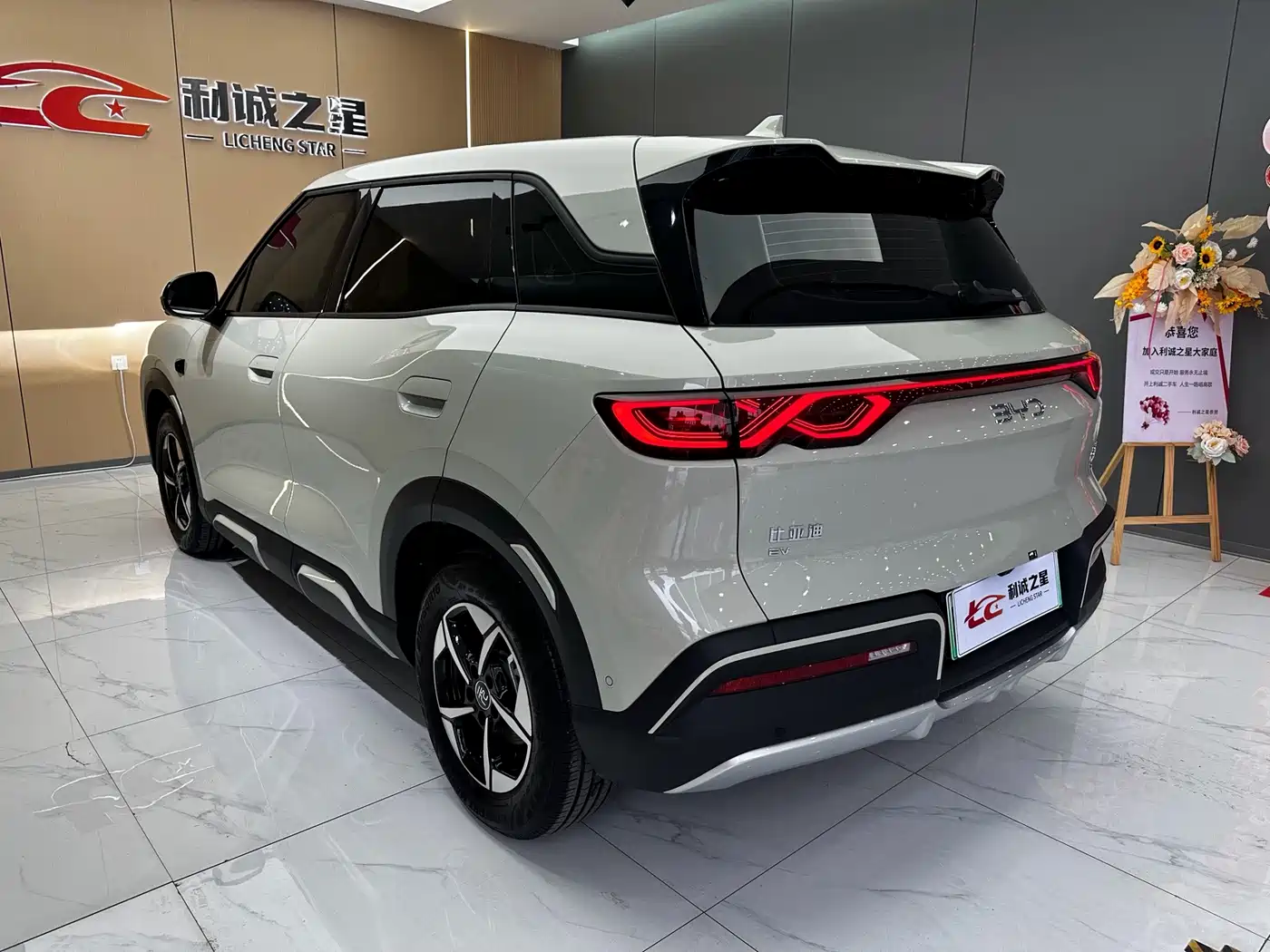 BYD Yuan UP 2025 2025 Smart Drive Edition 401KM Leading Type