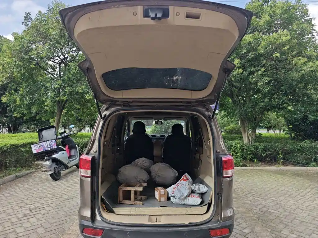 Фото 10 - Wuling Motors Wuling Hongguang