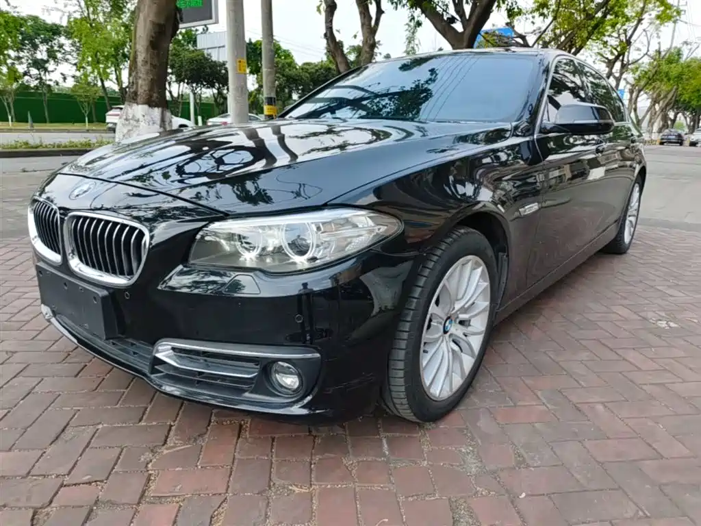 BMW 5 Series 2014 525Li Luxury Design Package