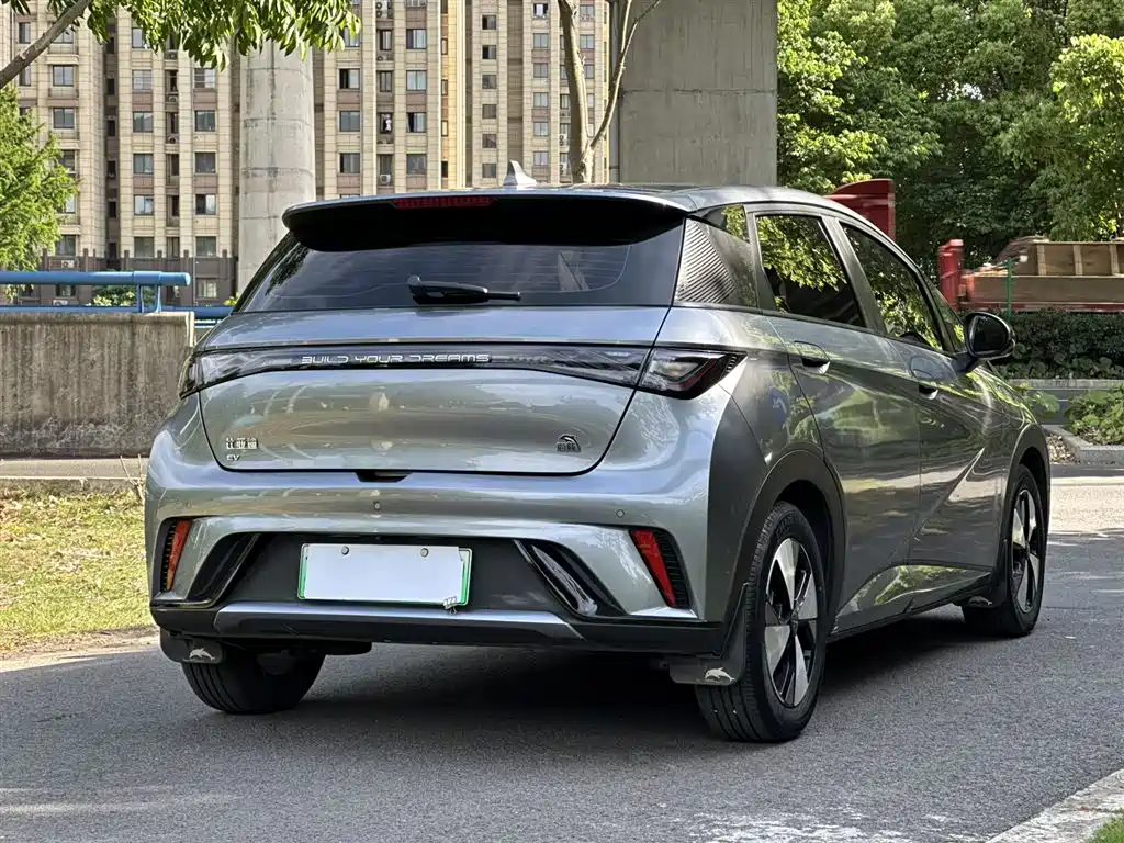 BYD Dolphin 2023 420km Fashion Edition фото 4