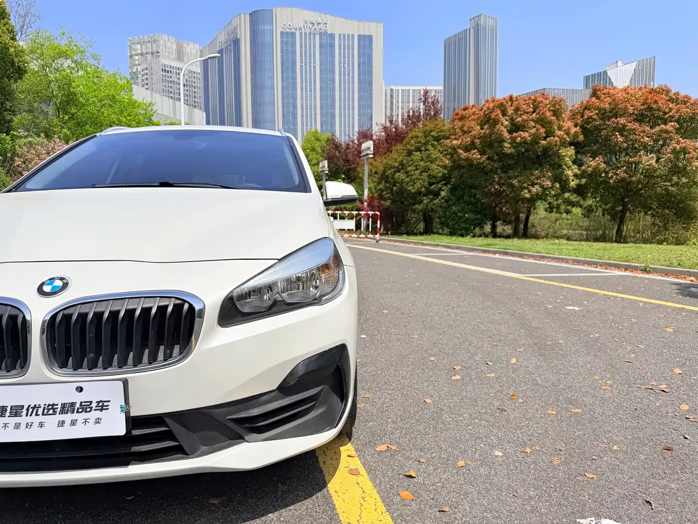 BMW 2 Series Gran Tourer 2018 220i Luxury Line фото 10