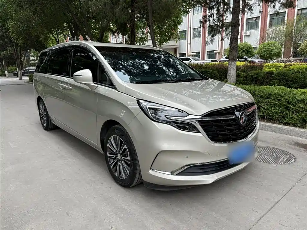 Buick GL8 2021 ES Landlord 653T Flagship фото 10
