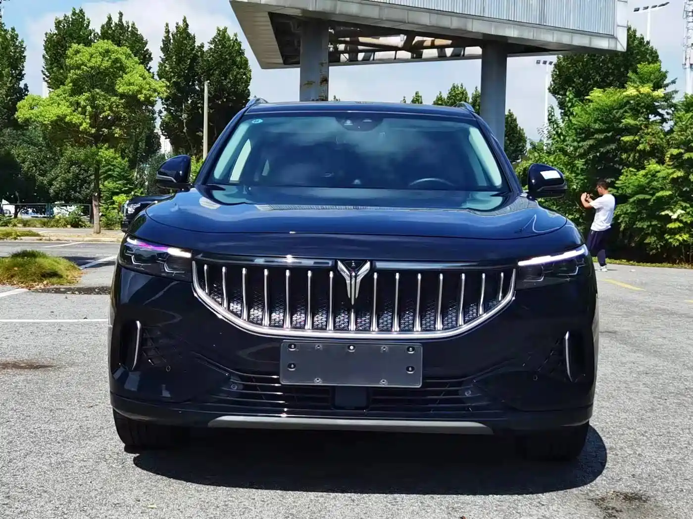 Voyah Auto VOYAH FREE 2021 AWD Standard Pure Electric Exclusive Luxury Package фото 2