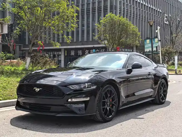FORD MUSTANG