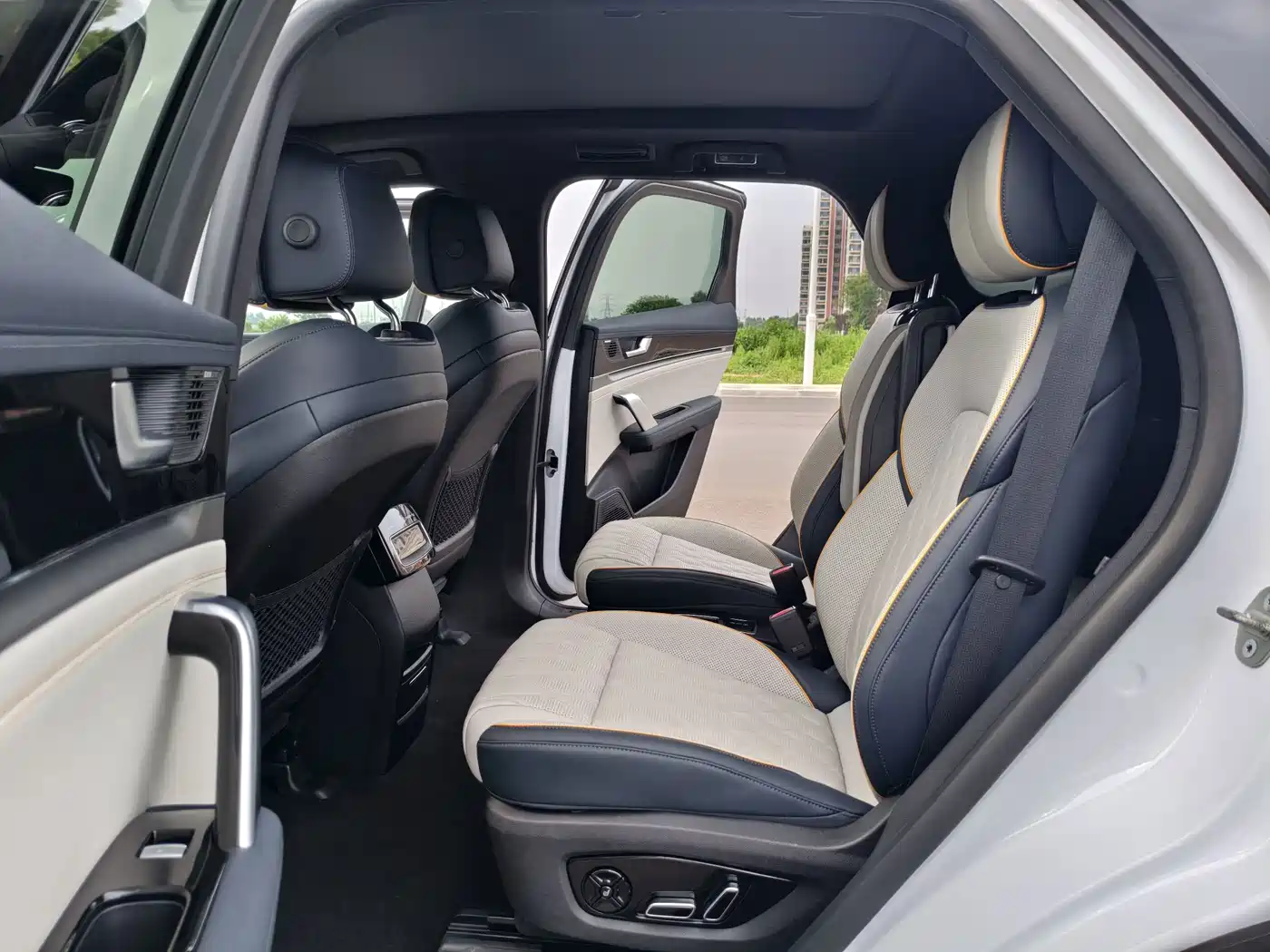 BYD Tang New Energy 2024 2024 DM-p Champion Edition 215KM 4WD Premium
