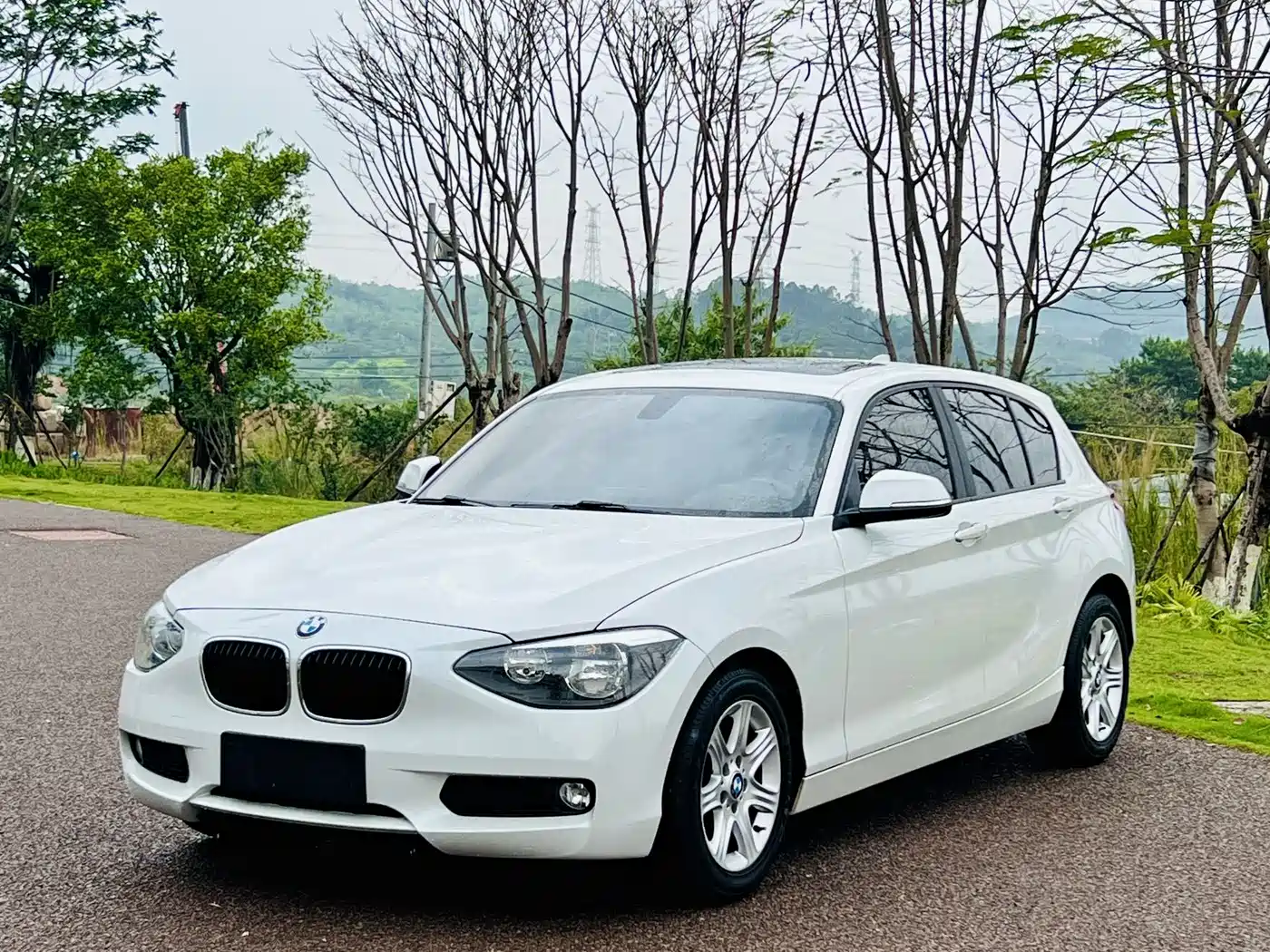 BMW 1 Series (Import) 2013 Facelift 116i Leading Model