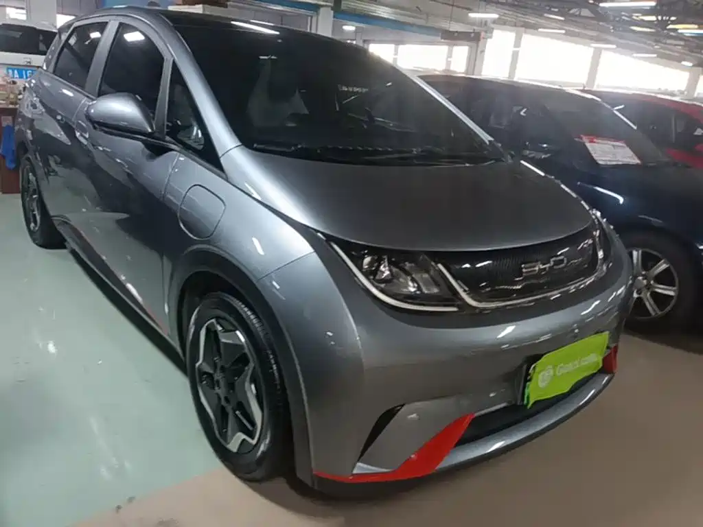 BYD Dolphin 2022 2021 Model 405km Fashion Edition