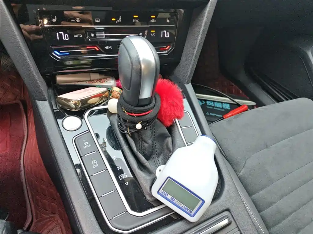 Volkswagen Weilan 2021 2.0T Smooth Ride Edition фото 14